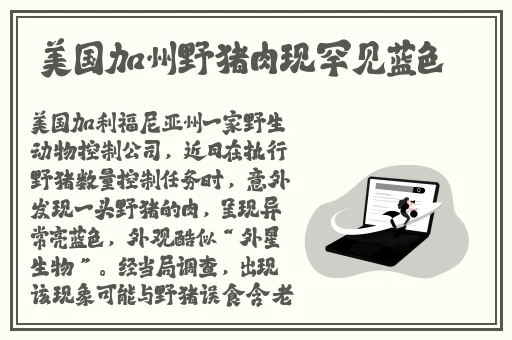 3ce九色眼人间水蜜桃电影